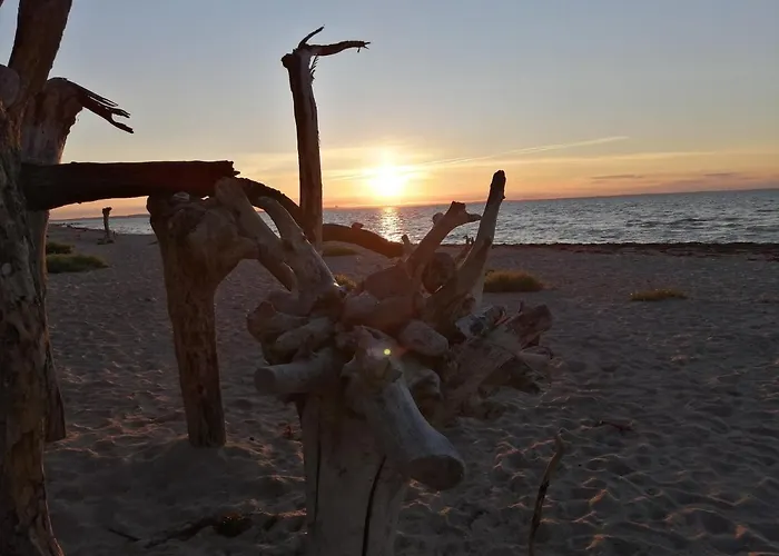 Dom wakacyjny Strandhaus Florimar